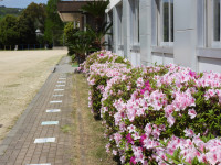 DSCN1195