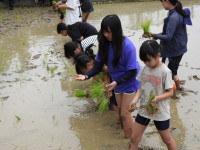 DSCN3583