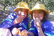 3nen2mikan (8)