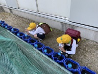 IMG_2113