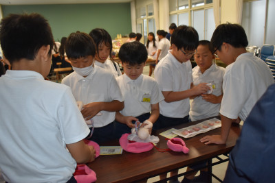 DSC_0017
