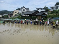 IMG_9595