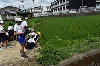 2DSC_0003